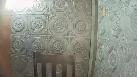 asian_nova online show from 01.12.26