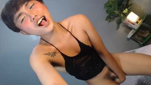 Reyshell online show from 02.04.26