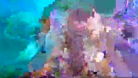 Aspy online show from 01.26.25