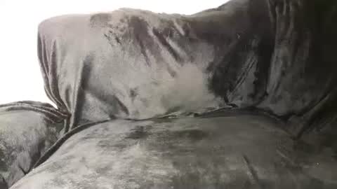 Assiology online show from 03.12.25