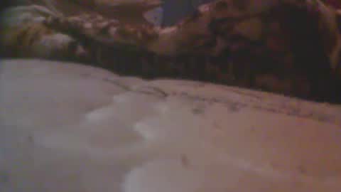 love spouse 768785628 online show from 05.18.26