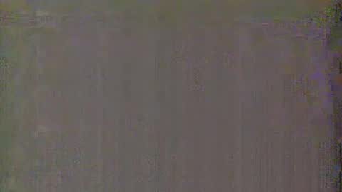 Aurora and Orion online show from 01.15.25