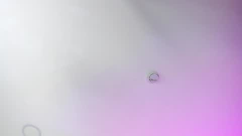 ...  ... online show from 12.04.24