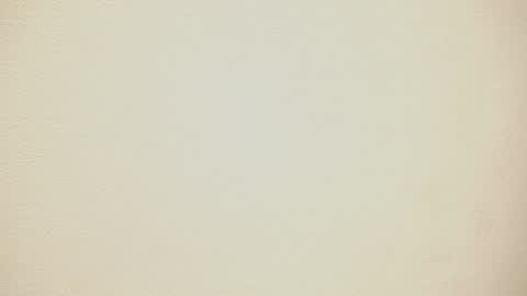 Snapshot of aveksmr chatting on 12.04.25 Kate online show from 12.04.25