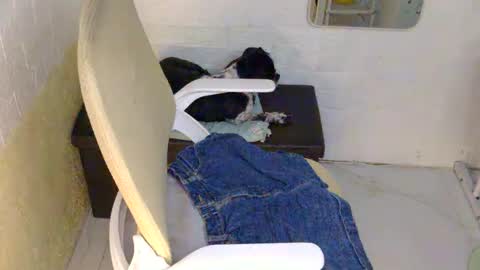 Rhian online show from 09.09.25