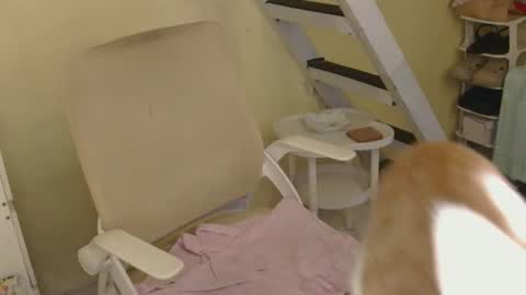 Rhian online show from 02.16.26