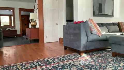 avgdiver online show from 02.12.26