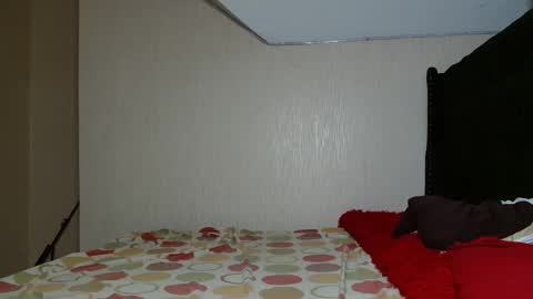 Avian online show from 11.02.25