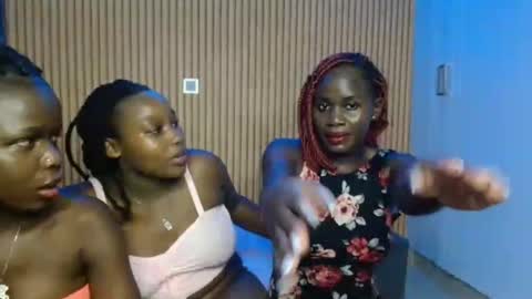 Avian online show from 11.12.25