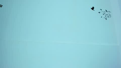 Mariana online show from 03.12.25