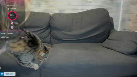 Snapshot of azalea_love chatting on 04.16.26 Maribel Bel online show from 04.16.26