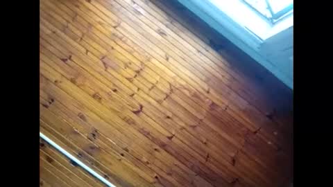 Baby  P online show from 02.26.26