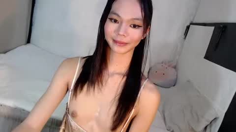 MIKAY HADID online show from 06.12.26