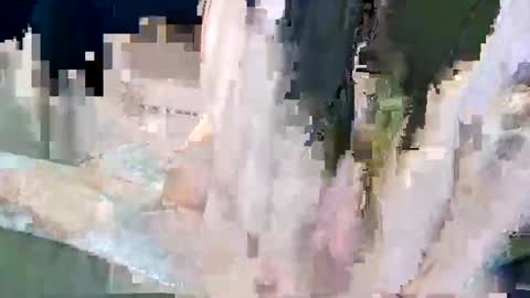 Poindexxxter online show from 12.22.24