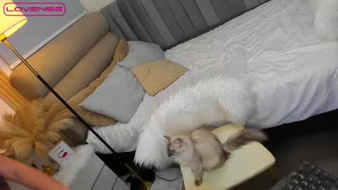 ASK ME IN PM online show from 10.27.25