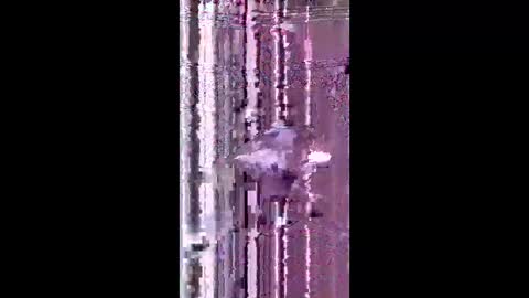bad_boy2299 online show from 06.02.26