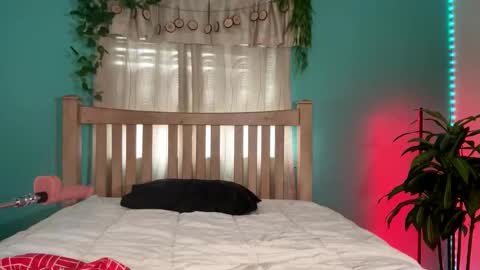 My name  BailiJade   online show from 09.09.25