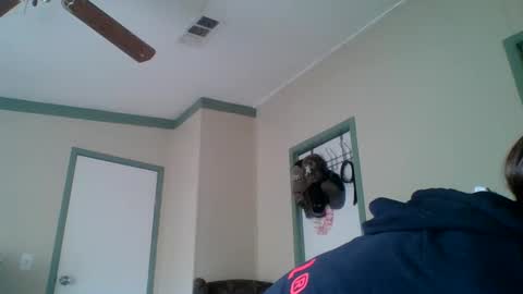 bamacpl80 online show from 12.27.24