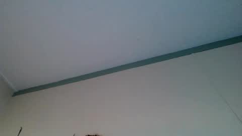 bamacpl80 online show from 01.02.25