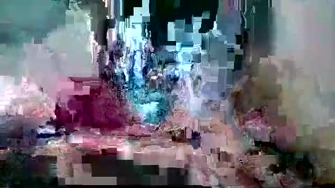 bamacpl80 online show from 02.26.26