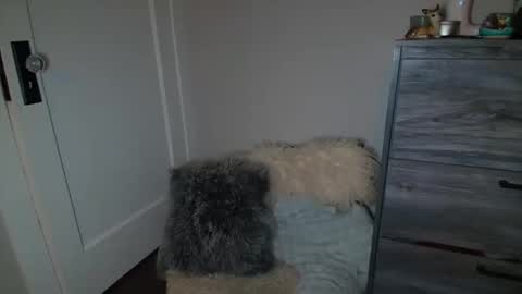 Bambi online show from 03.02.25