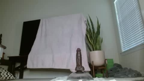 bambirachel1 online show from 06.23.26