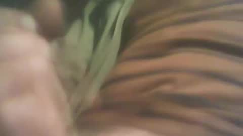 bandapart online show from 09.08.25