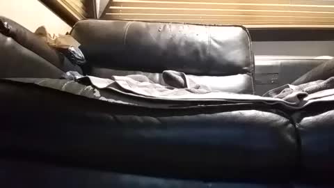 baobabtree8 online show from 09.26.25