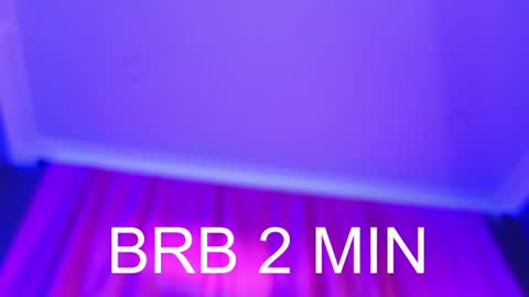 Barbara online show from 07.20.26