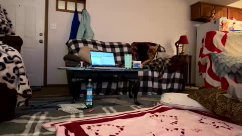 barelybehavedbarbie online show from 04.23.26
