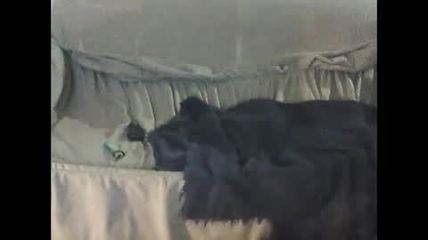 barrysand online show from 09.23.25