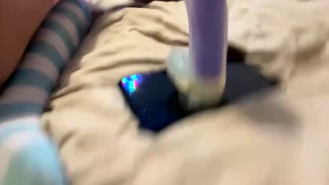 bathingcat online show from 11.27.25