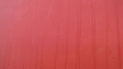 bayonette_black online show from 12.17.25