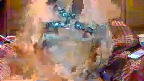 NSAPiigForBreeding online show from 04.22.26