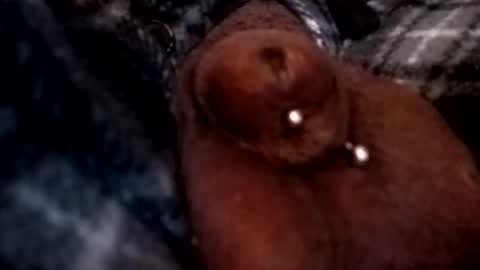 bcfalcon69 online show from 03.05.26