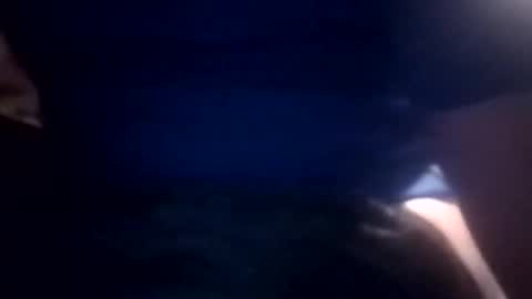 bcmow123 online show from 02.22.26