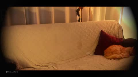 Call me Bells  Next Stream on Wednesday    Feb 26  online show from 04.18.26