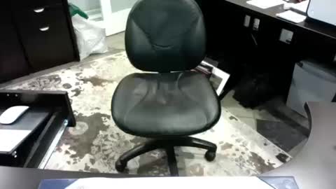 beagle1 online show from 10.14.25