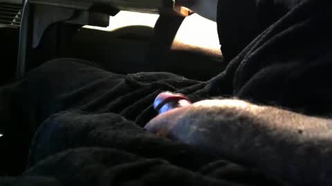 bear4146 online show from 01.04.25