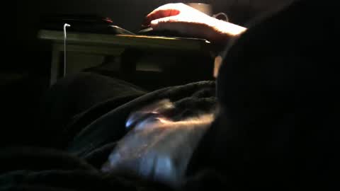 bear4146 online show from 03.08.25