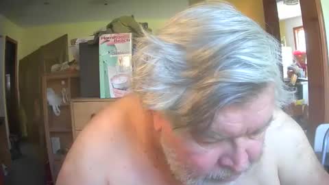 bear online show from 04.26.26