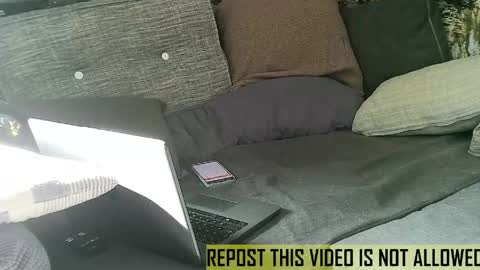 bearlov1 online show from 05.14.26