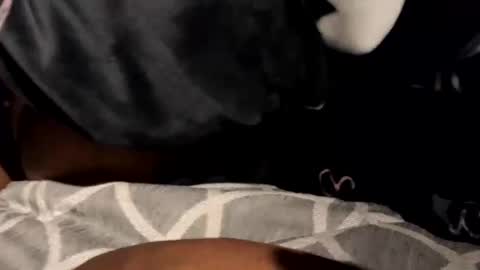 BeastyAdamsTgExotic online show from 02.15.25