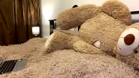 Snapshot of beautifulnik chatting on 03.07.26 Nik online show from 03.07.26