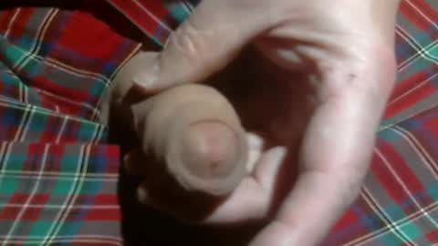  Reservoir Dogs online show from 03.02.26