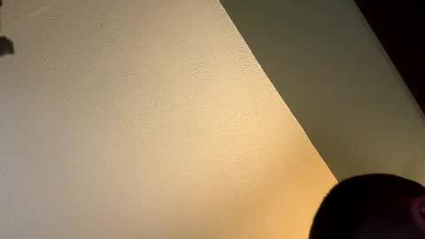 Snapshot of begme88 chatting on 10.07.25 begme88 online show from 10.07.25