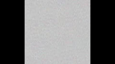 Zia online show from 09.11.25