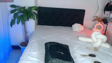 Bella Porch online show from 03.02.26