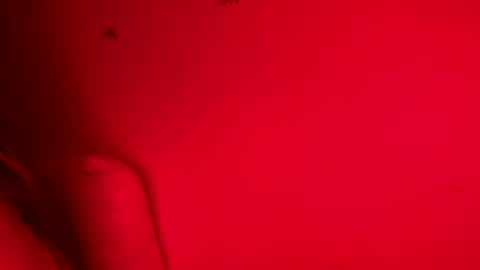 Belle xx online show from 11.09.25