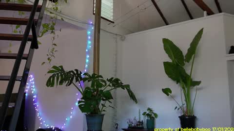 BELLE   online show from 01.18.25